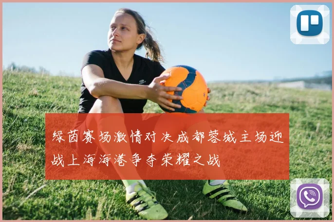绿茵赛场激情对决成都蓉城主场迎战上海海港争夺荣耀之战