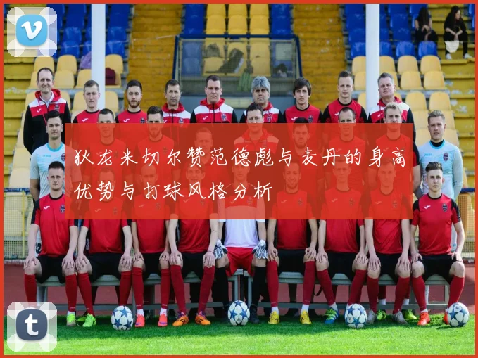 狄龙米切尔赞范德彪与麦丹的身高优势与打球风格分析