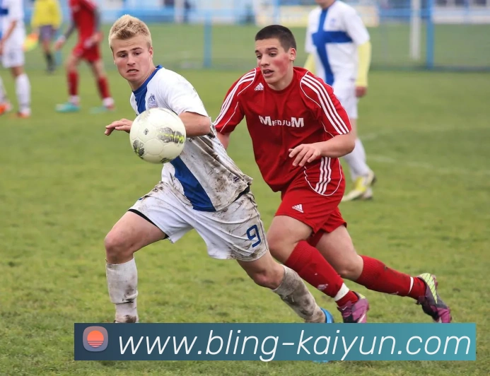 奖项证书